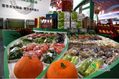 第九屆唐山農(nóng)產(chǎn)品展示交易會(huì)暨樂(lè)亭現(xiàn)代農(nóng)業(yè)博覽會(huì)開(kāi)幕，聚焦畜產(chǎn)品購(gòu)銷貿(mào)易