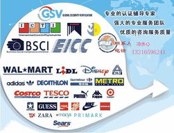 高效對接，精準匹配——專業商務信息咨詢服務采購指南